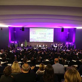 Diplômes de l'IFM par influence factory